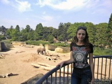 Здравствуй, аист-Марабу