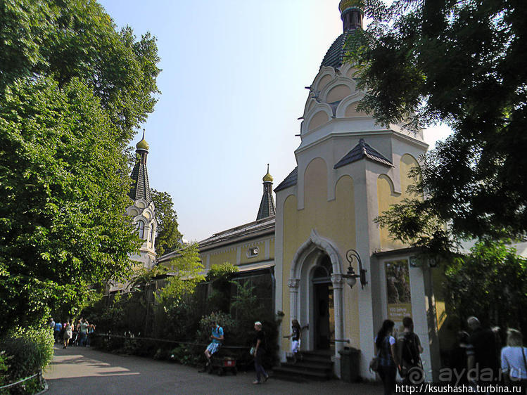 Здравствуй, аист-Марабу