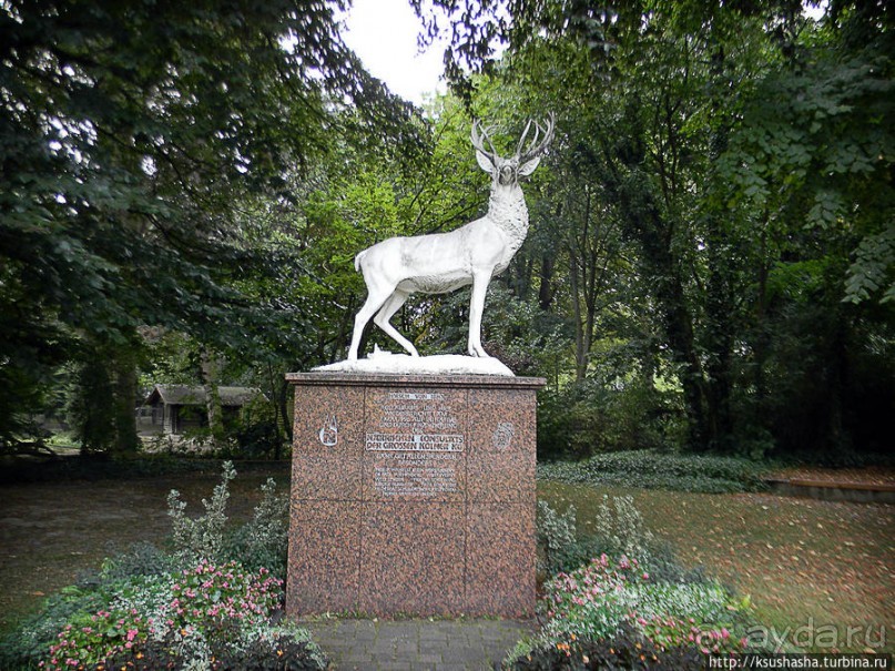 Здравствуй, аист-Марабу