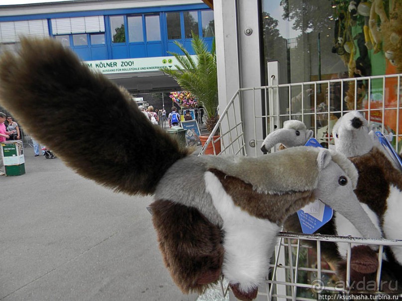 Здравствуй, аист-Марабу