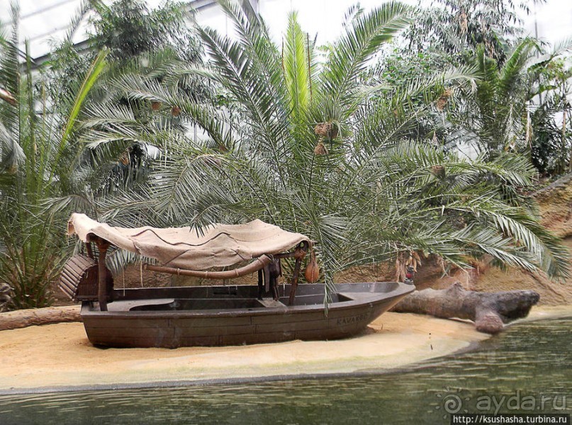 Здравствуй, аист-Марабу