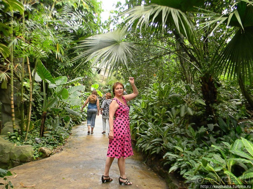 Здравствуй, аист-Марабу