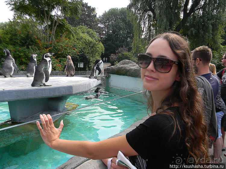 Здравствуй, аист-Марабу