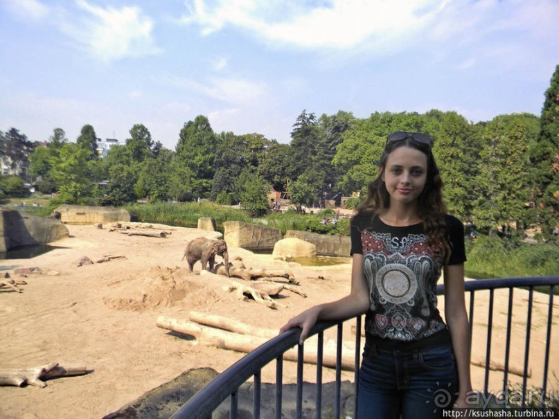 Здравствуй, аист-Марабу