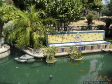 Ботанический кайф в Молино де Инка