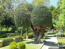 Ботанический кайф в Молино де Инка