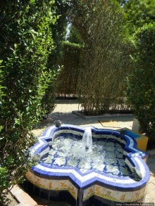 Ботанический кайф в Молино де Инка