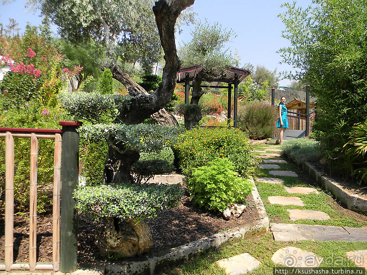 Ботанический кайф в Молино де Инка