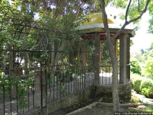 Ботанический кайф в Молино де Инка