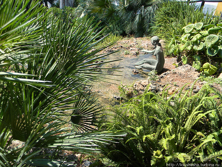 Альбом отзыва "Ботанический кайф в Молино де Инка"