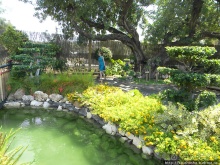 Ботанический кайф в Молино де Инка