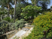 Альбом отзыва "Ботанический кайф в Молино де Инка"