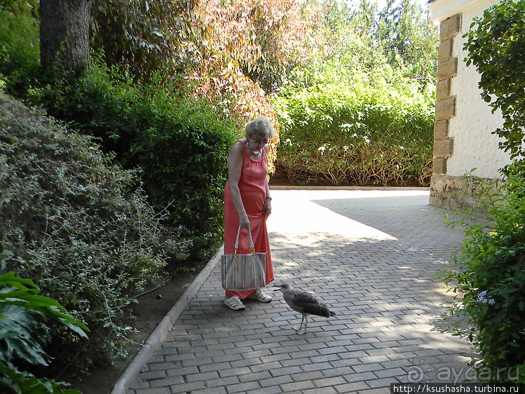 Альбом отзыва "Ботанический кайф в Молино де Инка"