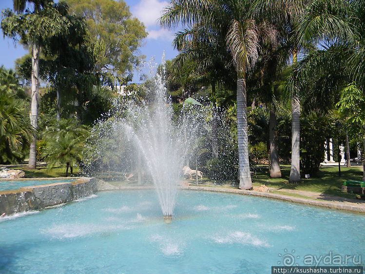 Альбом отзыва "Ботанический кайф в Молино де Инка"