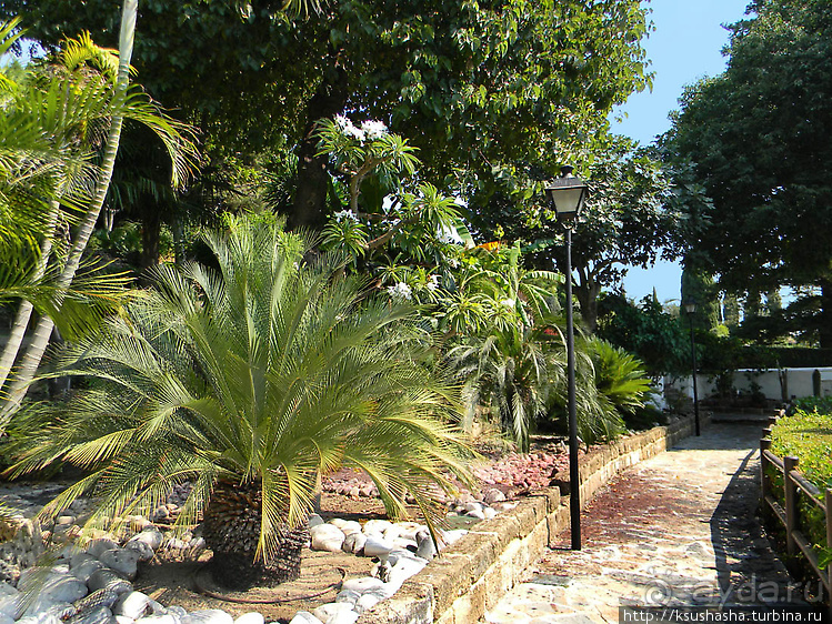 Альбом отзыва "Ботанический кайф в Молино де Инка"