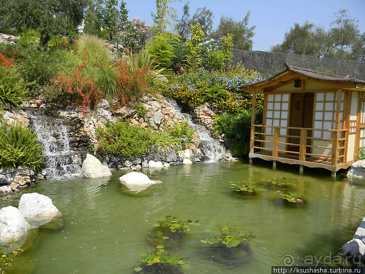 Ботанический кайф в Молино де Инка