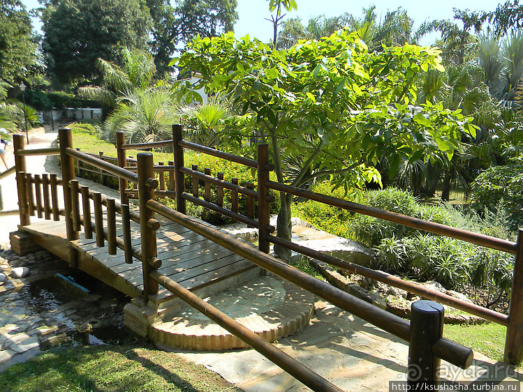 Альбом отзыва "Ботанический кайф в Молино де Инка"