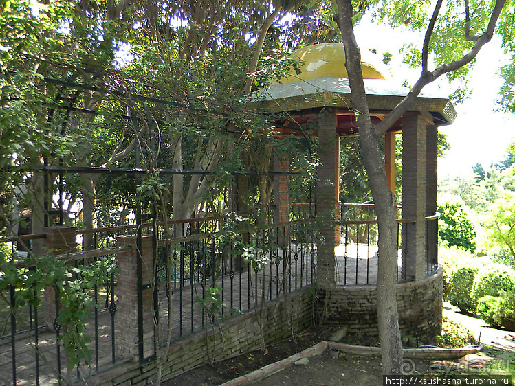 Ботанический кайф в Молино де Инка