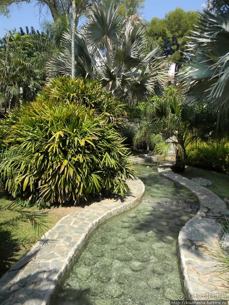 Ботанический кайф в Молино де Инка