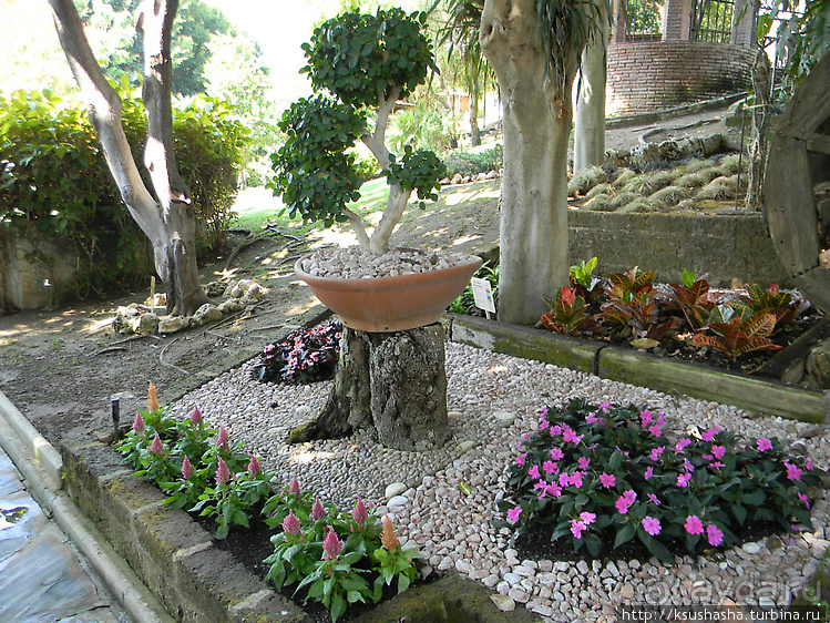 Ботанический кайф в Молино де Инка