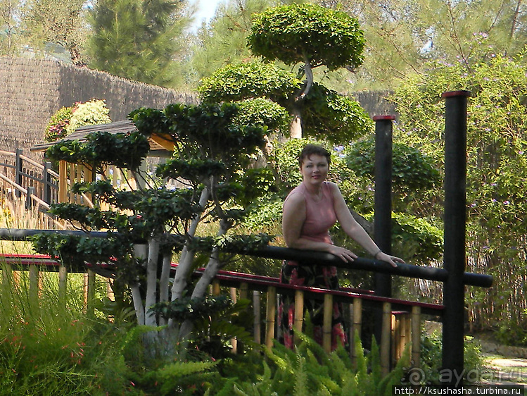 Ботанический кайф в Молино де Инка