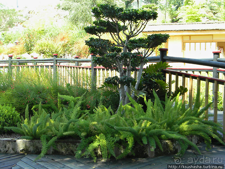 Ботанический кайф в Молино де Инка