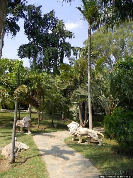 Альбом отзыва "Ботанический кайф в Молино де Инка"