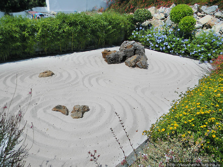 Ботанический кайф в Молино де Инка