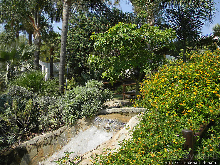 Ботанический кайф в Молино де Инка