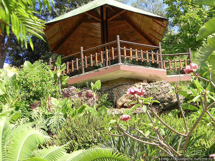 Альбом отзыва "Ботанический кайф в Молино де Инка"