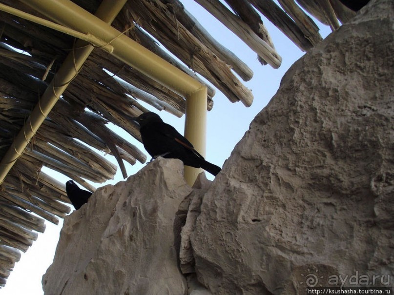 Масада. Восход с высоты птичьего полёта