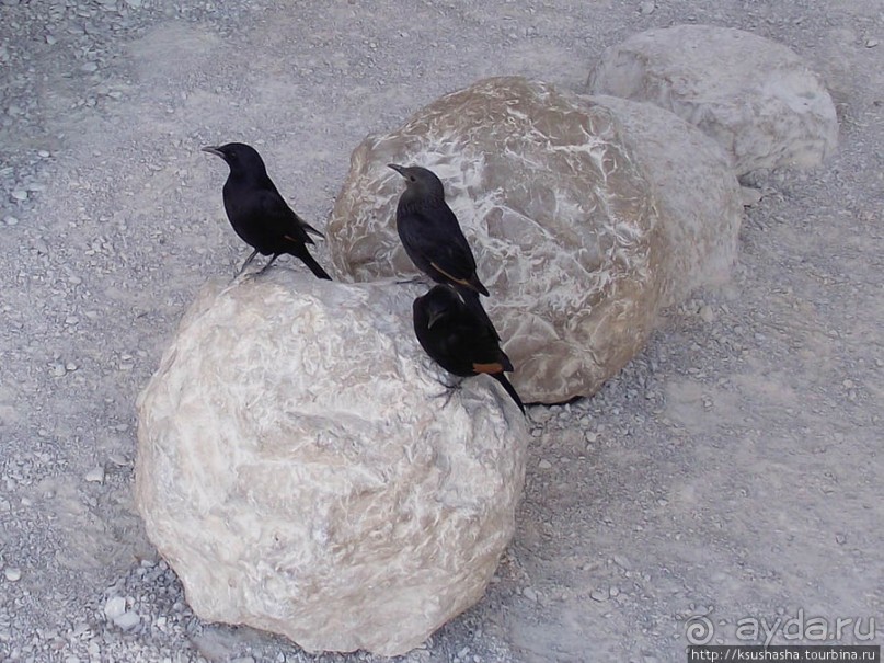 Масада. Восход с высоты птичьего полёта