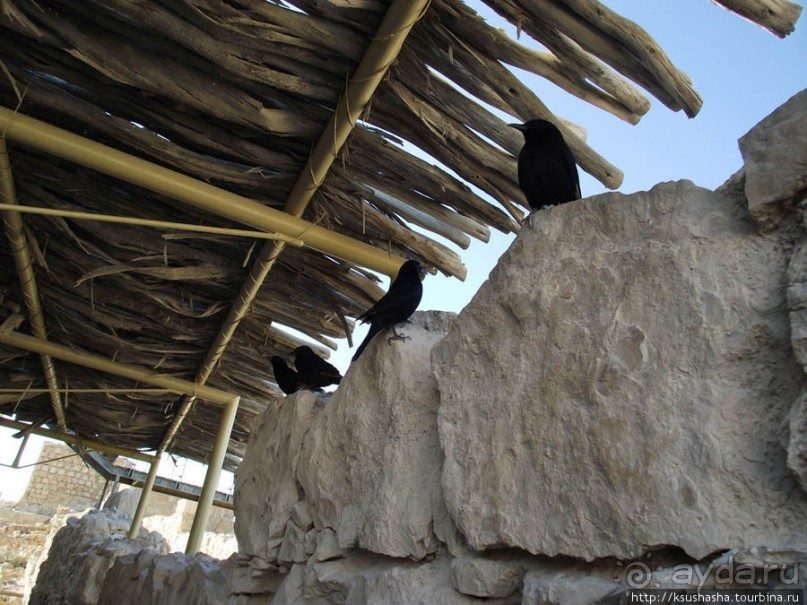 Масада. Восход с высоты птичьего полёта
