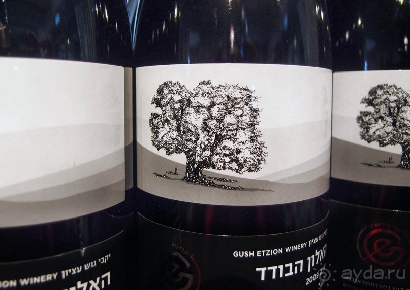 Одинокий дуб