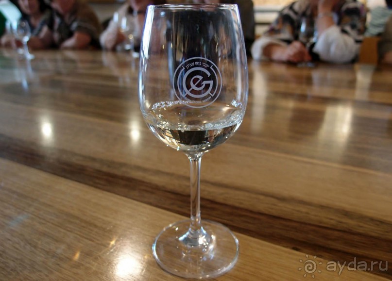 Одинокий дуб