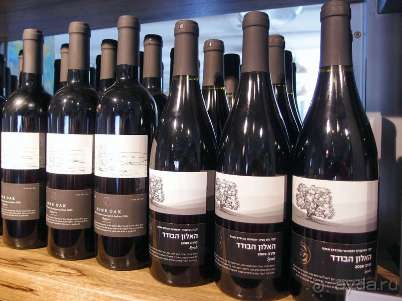 Одинокий дуб