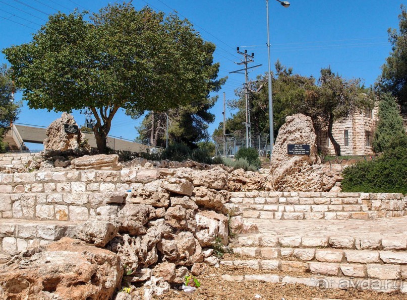 Одинокий дуб