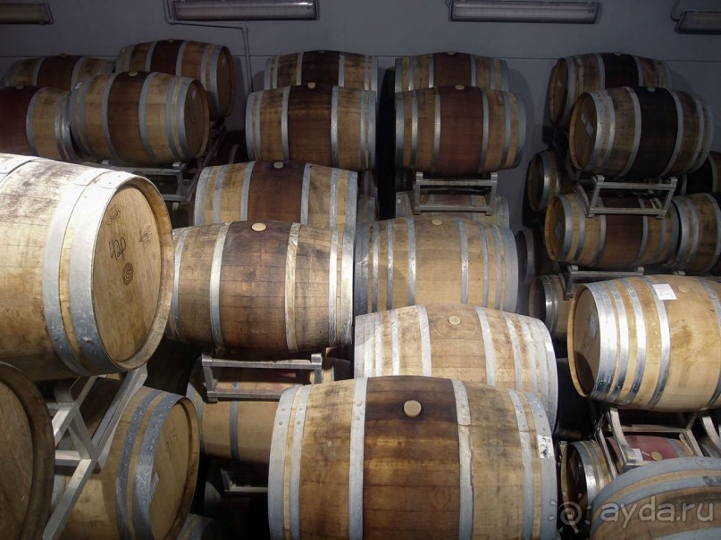 Одинокий дуб