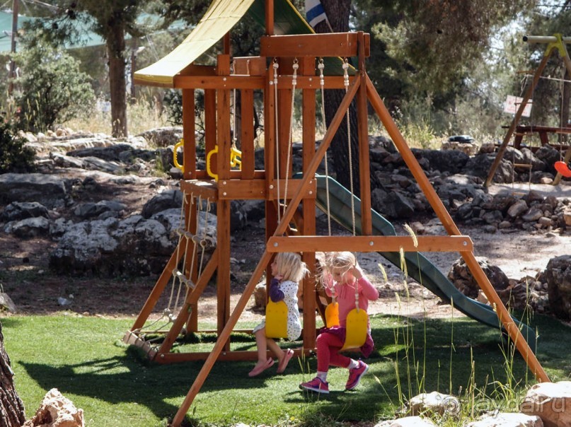 Одинокий дуб