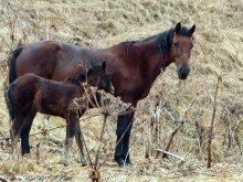 Там нет дорог, одна тропа ведёт по краешку ущелья