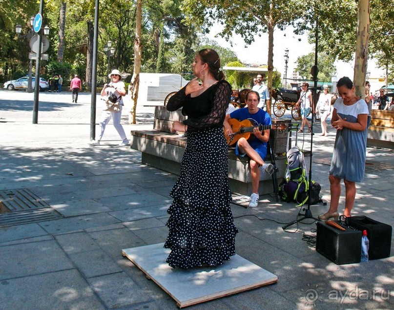 Альбом отзыва "Краски Севильи"