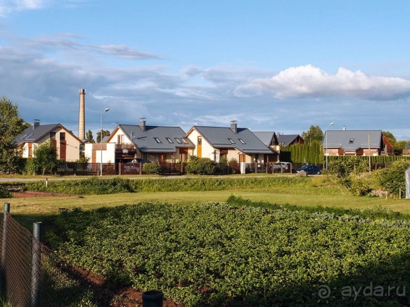 Природа Латвии. Кому привычно, а кому и экзотично 