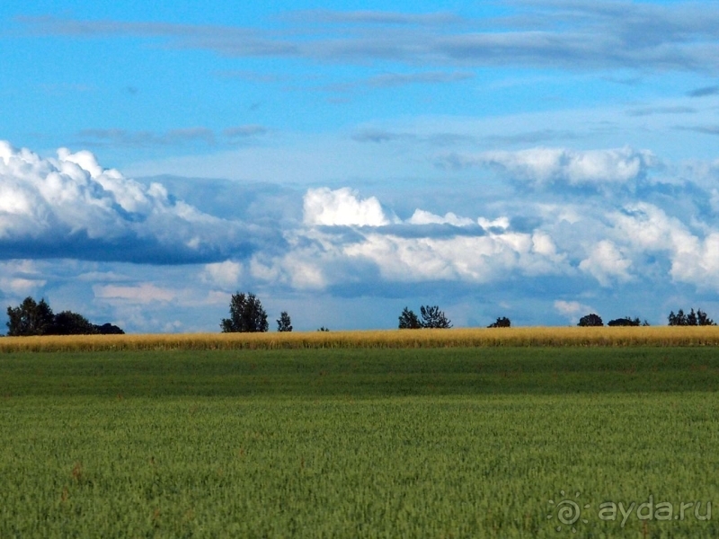Природа Латвии. Кому привычно, а кому и экзотично 