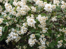 Природа Латвии. Кому привычно, а кому и экзотично 