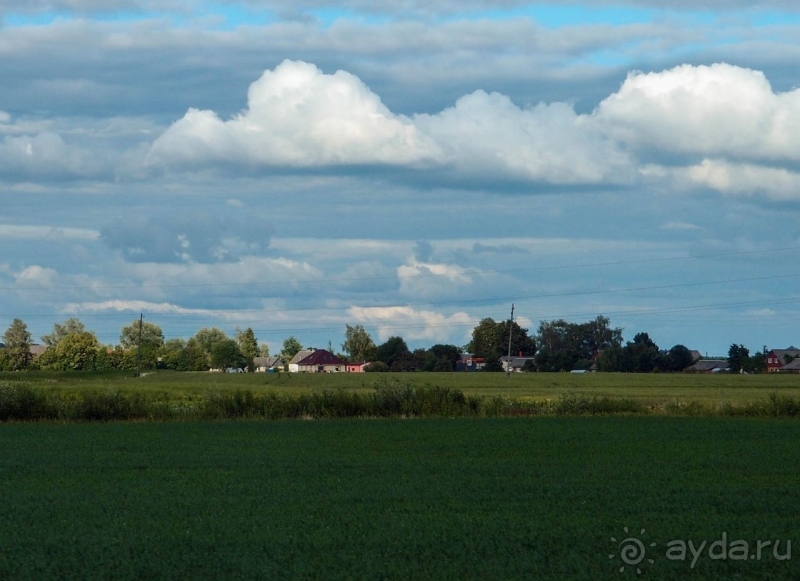 Природа Латвии. Кому привычно, а кому и экзотично 