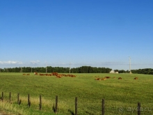 Природа Латвии. Кому привычно, а кому и экзотично 