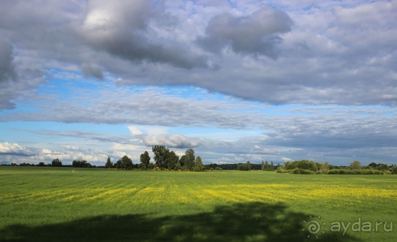Природа Латвии. Кому привычно, а кому и экзотично 