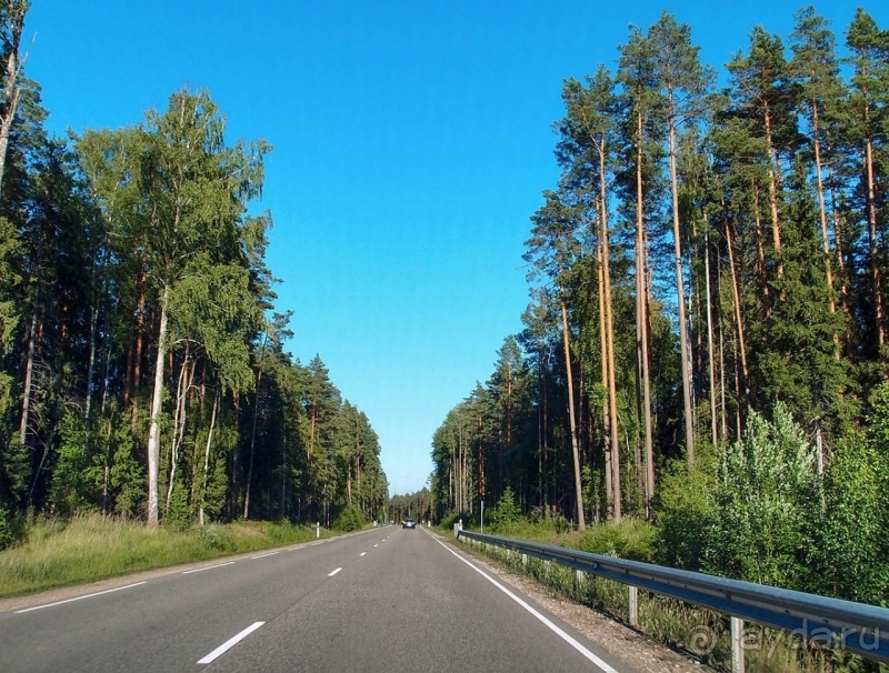 Природа Латвии. Кому привычно, а кому и экзотично 