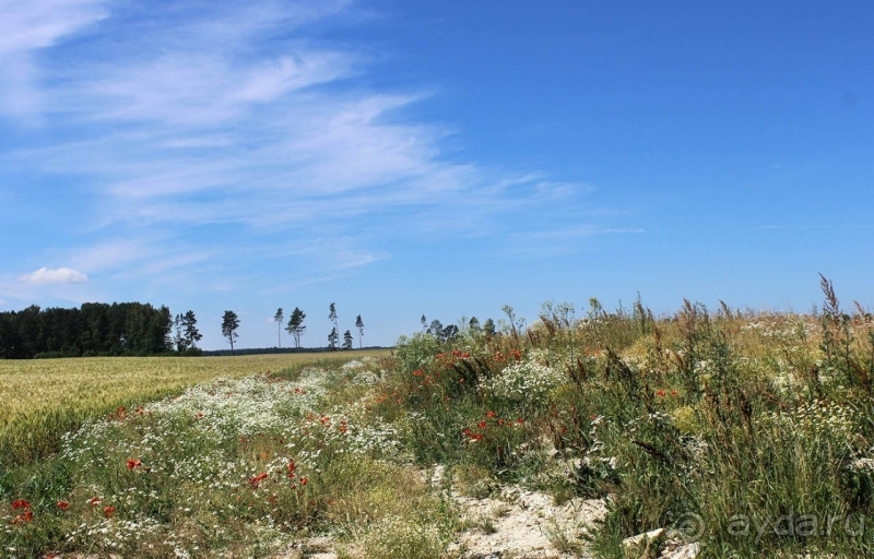 Природа Латвии. Кому привычно, а кому и экзотично 