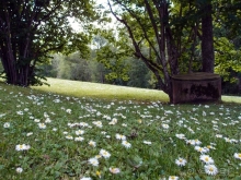 Природа Латвии. Кому привычно, а кому и экзотично 